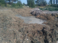 В Волгограде активистов ОНФ обеспокоили ассенизаторы