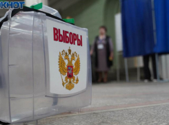 Оглашен приговор облившей урну зеленкой на президентских выборах под Волгоградом