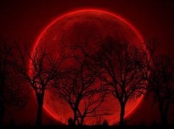 Скандальная «кровавая» суперлуна взойдет в ночь на 28 сентября