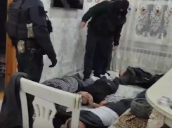 «Вы здесь барон?»: волгоградский СОБР уложил цыган лицом в пол — видео 
