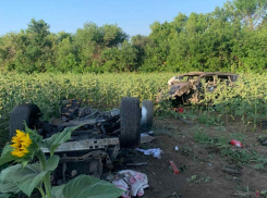 Два человека погибли в разорванной Toyota в Волгоградской области: видео