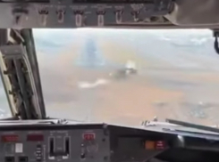 Самолёт Москва – Волгоград столкнулся с птицей