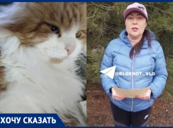 «Неадекватный изверг»: семья подстреленного кота Кузьмы из Волгограда записала видеообращение