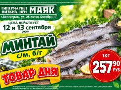 Минтай свежемороженый 257.90 руб./кг  в «Маяке» на Тулака