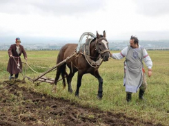Фермеры региона предлагают бесплатно раздавать землю волгоградцам