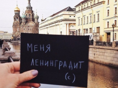 Самолеты из Волгограда в Санкт-Петербург будут летать 4 раза в неделю