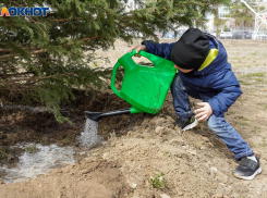 Волгоградцы высадили в ЦПКиО фамильные деревья
