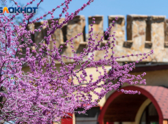 Южный ветер и летнее тепло: погода на воскресенье 10 апреля