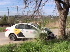 В Волгограде таксист «Яндекса» врезался в дерево, вышел из машины и умер 