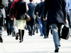 День без автомобилей попытаются прожить волгоградцы 