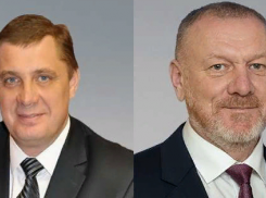 «Жигули» и миллионы рублей: смотрим годовой доход волгоградских сенаторов и их жён