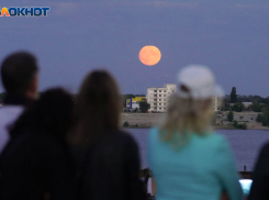 Волгоградских школьников массово проверят на наркотики и психотропные вещества