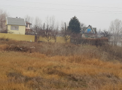 Тело 12-летней школьницы нашли во дворе на юге Волгограда