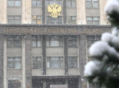 О конфликте волгоградского депутата и главного единоросса России заговорили в Госдуме