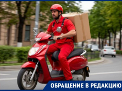 «Террор на колесах»: на кошмарящих пешеходов курьеров пожаловался волгоградец