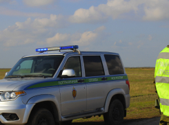 Облаву провели у границы с Казахстаном в Волгоградской области