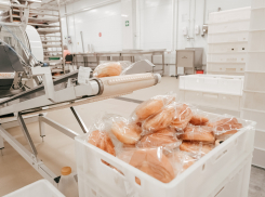 В Волгограде планируется рост объемов производства пищевой продукции в 2024 году