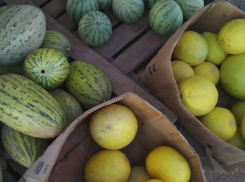 Прокуратура взяла на контроль смертельное отравление ребенка после порции арбуза в Волгограде