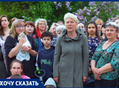 Волгоградцы попросили Александра Бастрыкина остановить убийство бездомных собак