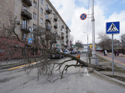 Туристы не хотят оставаться в Волгограде дольше, чем на полторы ночи