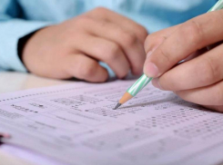 78 выпускников Волгоградской области сдали ЕГЭ на 100 баллов