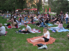 Волгоградцев зовут бесплатно посмотреть две комедии на траве под звездами