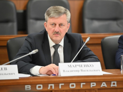 Мэр Волгограда назвал событием недели разрушение центра города