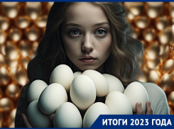 Волгоградские чиновники дали мастер-класс по прыжкам на грабли: яичная вакханалия, передел бизнеса и мусорные войны 