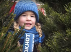 Недетский интерес: Какими секретами пользуются волгоградцы при выборе и украшении елки? 