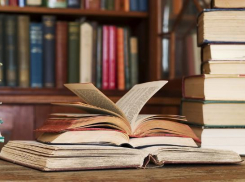 Волгоградские депутаты хотят повысить зарплату библиотекарям