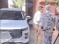 Хинштейн заявил об увольнении замдиректора из Росгвардии после конфликта со скорой в Волгограде