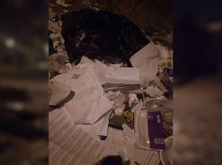 Уголовные дела нашли на мусорке в Волгограде: полиция проводит проверку