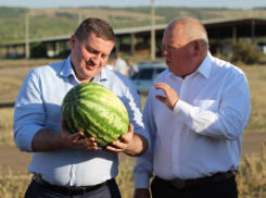 Активист ОНФ обвинил региональные СМИ в некрасивом поступке по отношению к волгоградскому губернатору