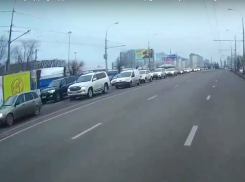 Жители Волгограда сняли новое видео в защиту троллейбусов
