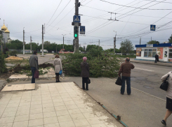 Сильный ветер повалил дерево на пешеходный тротуар в Волгограде 