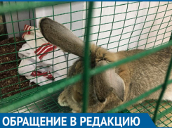 Животные сидят без воды, - крик души посетительницы волгоградского контактного зоопарка