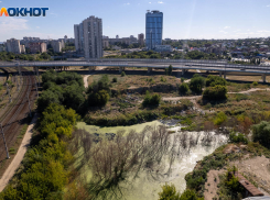 Местами грозы и мощный ветер: погода в Волгоградской области на 21 июля
