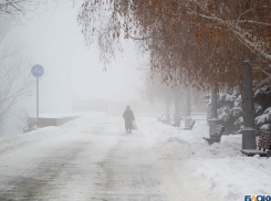 Сильную метель обещают синоптики жителям Волгограда и области