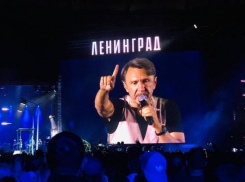 Шнуров опубликовал видео с концерта на «Волгоград Арене»