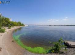 Волгоград накрыла очередная волна фейков о холере в воде