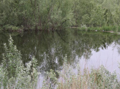 В Волго-Ахтубинской пойме пытаются удержать сброшенную воду