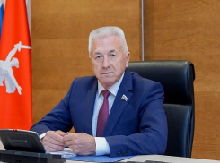 Не кичиться богатством в соцсетях призвал депутатов глава Волгоградской облдумы