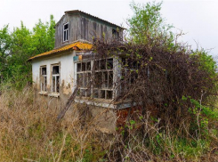 Эксперты установили личности двух из трех обнаженных трупов на даче в Камышине 