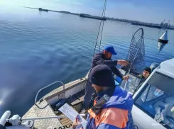 Первых речных нарушителей начали штрафовать в Волгограде 