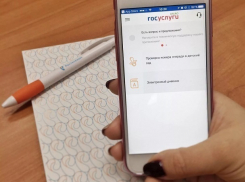  Рост активной аудитории приложения «Госуслуги» составил около 400%