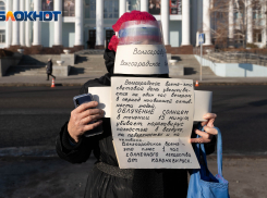  «Солнечное лекарство от коронавируса»: на массовой акции в Волгограде у Путина потребовали сохранения местного времени