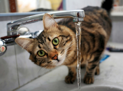 Более 600 миллионов рублей задолжали жители Волгограда за воду