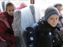 Родители школьников Волгограда отправились за компенсацией проезда детей