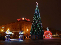 Главная елка Волгограда засияла 11 тысячами огней