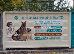 Участились случаи продажи волгоградцам больных животных